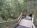 Mackinaw Island Area May 2008 1180